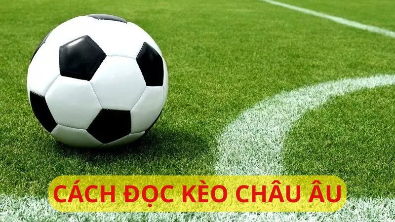 Hướng dẫn đọc kèo châu Âu cơ bản, dễ hiểu nhất